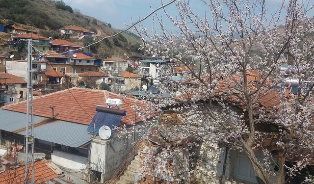 İnciriyle nam salmış Aydın’ın en şirin dağ köyü! Doğa tutkunlarının uğrak noktası