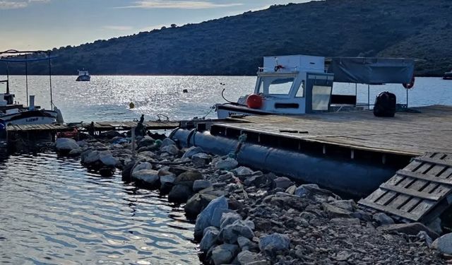 İzmirli balıkçıların gizli limanı! Derya kuzuları burada tutuluyor, anında ızgarayla buluşuyor