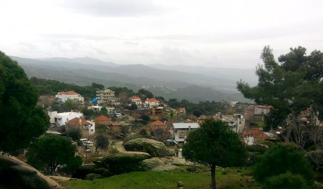 Zeytin ağaçları arasında geleneksek köy yaşamıyla huzura davet ediyor! Milas’ın incisi