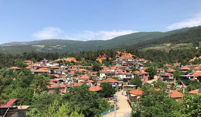 Kazdağları’nın eteklerinde zeytin ağaçlarıyla süslü bir köy! Doğaseverlerin yeni gözdesi