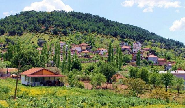 İzmir’in doğal kliması! Şehirden uzaklaşmadan nefes almak mümkün: Sıcaktan bunalanlar soluğu bu yemyeşil köyde alıyor