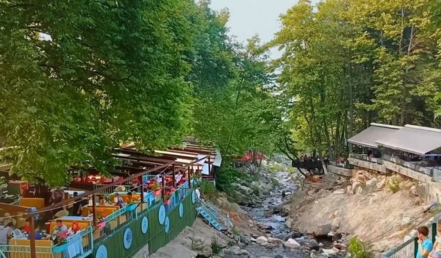 Yemyeşil doğası ve vadiye süzülen şelalesiyle Ege'nin köylerini gölgede bırakıyor! Izgara alabalığına bayılacaksınız