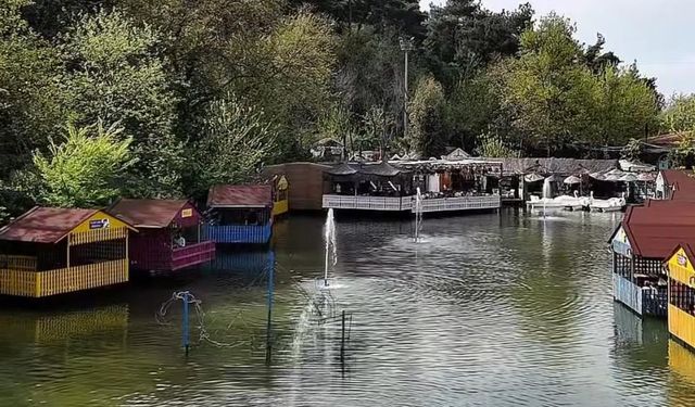 İzmir’e yalnızca 40 dakika mesafede, doğanın kalbinde gizli bir cennet… Masal gibi bir piknik alanı...
