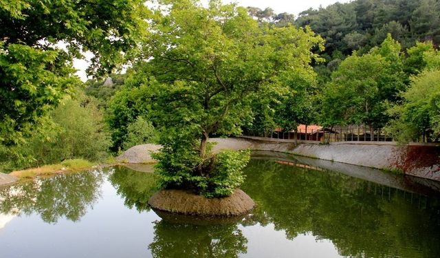 İzmir’de ailesiyle doğada vakit geçirmek isteyen buraya geliyor! Yemyeşil vadi içinde kahvaltısıyla büyülüyor