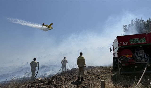 Çanakkale'de orman yangını: 1 dönümlük orman gençleştirme alanında zarar