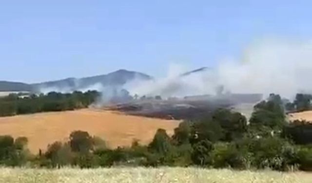 Gönen'de buğday ekili arazi alevlere teslim oldu