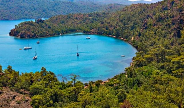 Çamlar denize kadar iniyor! Adını duyunca hikayesi, görünce mavisi büyülüyor: Emel Sayın Koyu’na nasıl gidilir?