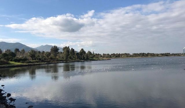 Ne Alaçatı ne Foça! Şehrin ortasında doğayla baş başa kalacağınız yer: Ulaşımı kolay, atmosferi huzur dolu o adres