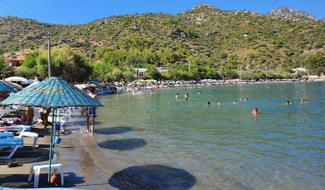 Deniz çarşaf gibi uzanıyor! Bir tarafı yemyeşil tepeler, bir tarafı turkuaz deniz: Aileler burayı çok seviyor