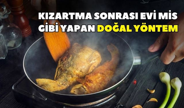 Açık mutfakta bile işe yarıyor! Lokantacıların gizli tüyosu: Kızartma sonrası evi mis gibi yapan doğal yöntem
