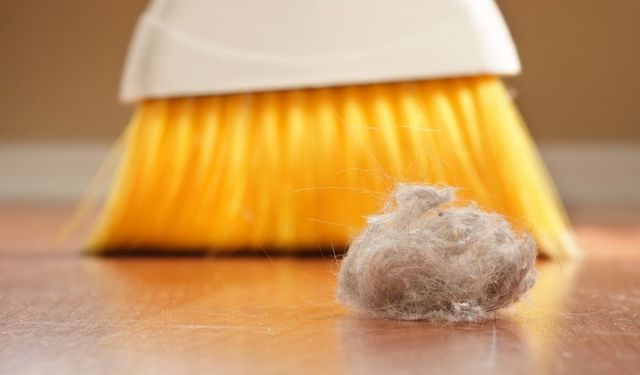Evinizde tozun kaynağı belli oldu! Bu 7 eşya tozu mıknatıs gibi çekiyor