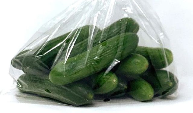 Salatalıkları haftalarca taze tutmanın sırrı buymuş! Bu yöntemle erimiyor, bozulmuyor, çöpe gitmiyor