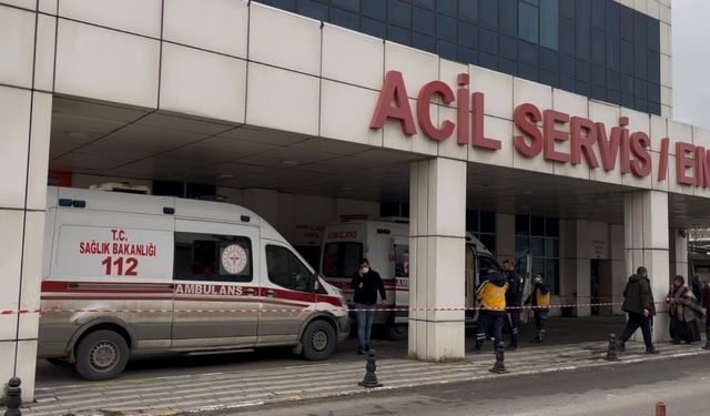 Koyun otlatan çobanın yanına gitmişlerdi! İki kardeşten acı haber