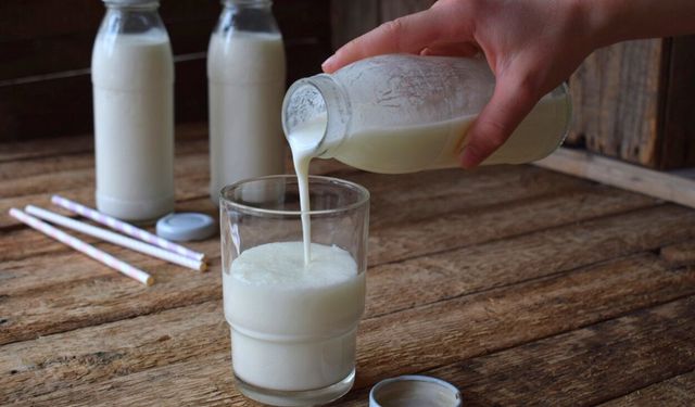 Faydaları saymakla bitmiyor! Her gün tüketmek bakın vücuda ne sağlıyor