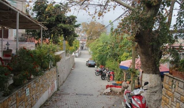 Ne Şirince Ne Birgi! İzmir’de hafta sonu için farklı bir rota: Zeytinlikleriyle ünlü bir köy görenleri büyülüyor