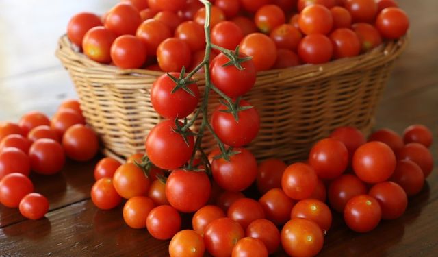 Domatesi dolapta saklayanlar dikkat! Meğer lezzetini bu yüzden kaybediyormuş