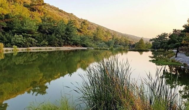 Hafta sonu farklı bir rota arayanların gözdesi: İzmir’deki dev yeşil vadi doğa, tarih ve ücretsiz kaçamak sunuyor!