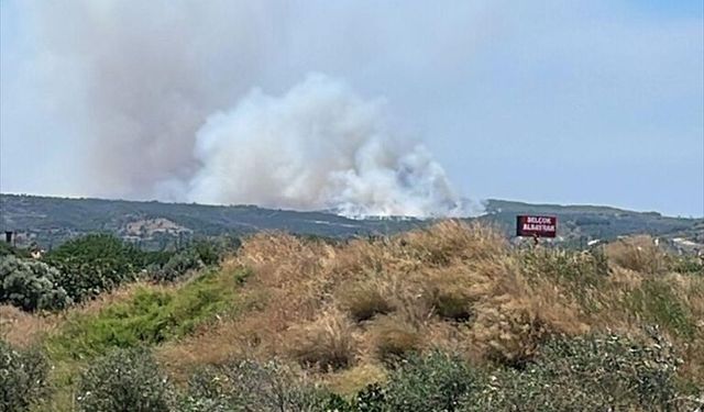 Çeşme'de çöplük yangını makilik alana sıçradı! Yangın kontrol altına alındı