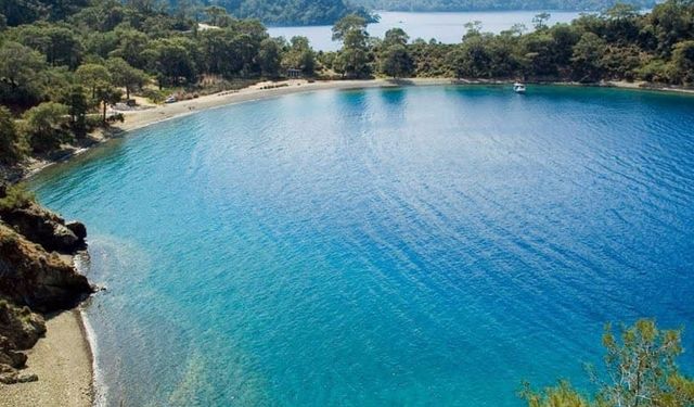 Cam gibi suyu ve sığ deniziyle görenleri kendine hayran bırakıyor! Tatilcilerin yeni favorisi, kampçıların en gözde yeri