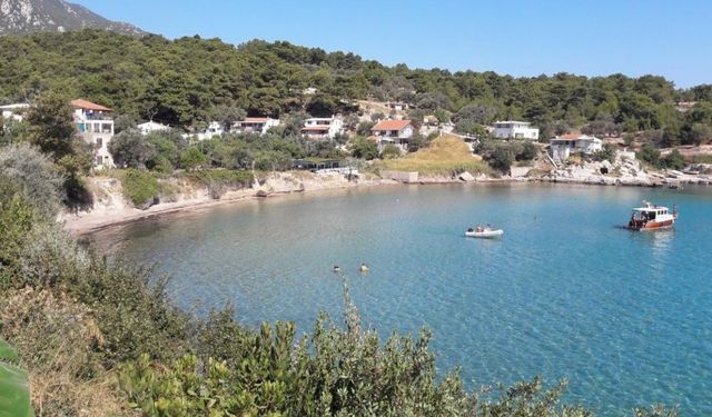 İzmir'de yüzme bilmeyenler ve çocuklu aileler için ideal deniz rotası: Zeytin ağaçlarıyla çevrili, denizi berrak ve sığ!