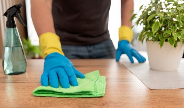 Çoğu kişi bilmiyor! Yeşil bezi bu alanların dışında kullanmayın: Hijyeni riske atıyor olabilirsiniz