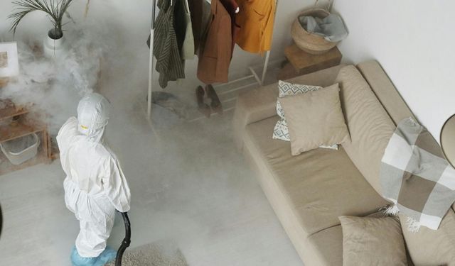 Evi ilaçlattıktan sonra hemen temizlik yapanlar dikkat! Birçok kişi doğru zamanı bilmiyor: Tüm mücadele boşa gitmesin