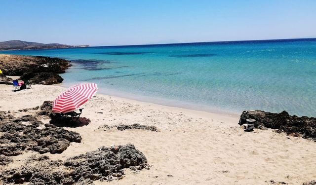 İzmir'de kamp severlerin yeni gözdesi! Ege’nin bakir koylarından biri: Kalabalıktan uzak, sessiz ve doğanın içinde