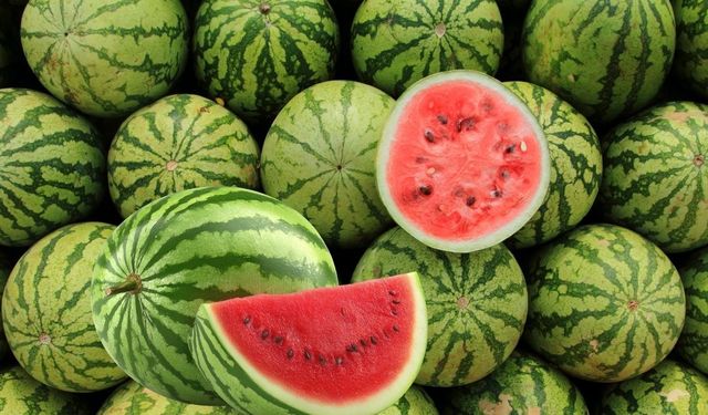 Karpuz alırken herkes aynı hatayı yapıyor! En tatlı karpuzu seçmenin sırrı meğer altındaki o lekedeymiş