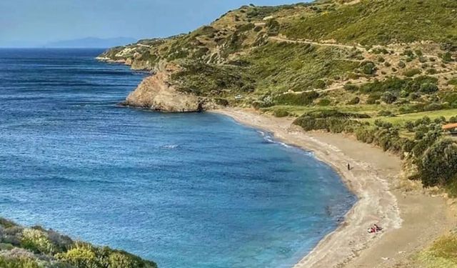 Ne Çeşme ne Foça! İzmir’de taş yok kaya yok: Sahili baştan sona kumla kaplı, üstelik ücretsiz