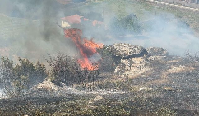 Manisa'da korkutan yangın! 30 dönüm zarar gördü