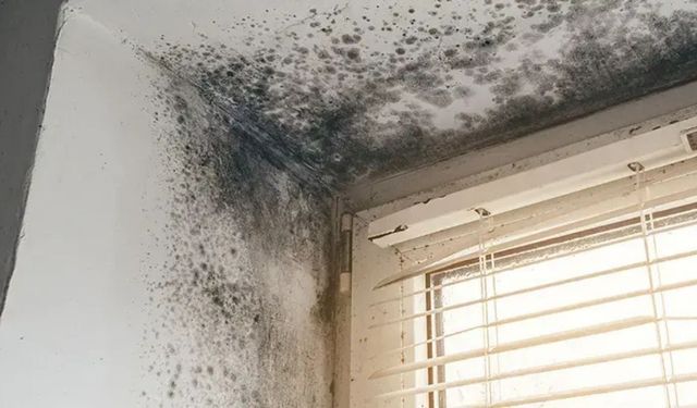Evdeki gizli tehlike! Pencere kenarlarındaki siyah küfe kesin çözüm: Bu lekeler varsa dikkat