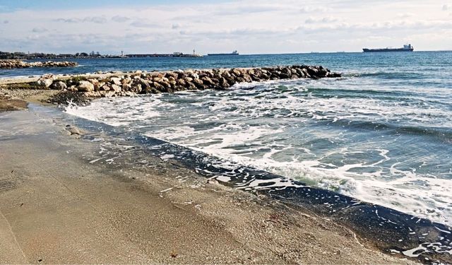 Şarköy'de hangi plajlar Mavi Bayraklı oldu? İşte ücretli ve ücretsiz 2026 tatil rotalarının tam listesi