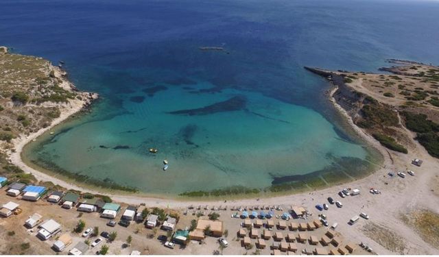 İzmir'de kamp yeri arayanlar buraya akın ediyor! Serin suyu ve zeytin ağaçlarıyla çevrili plaj, gelenlere huzur veriyor