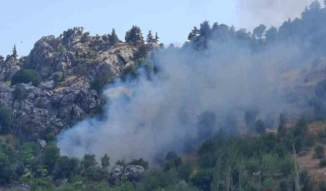 Antalya'da korkutan yangın!