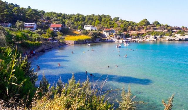 Ne Çeşme ne Foça! ESHOT’la gidiliyor: Zeytin ağaçlarının arasından iniliyor, denizi gören gözlerine inanamıyor