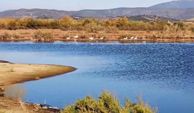 Endemik türlere ev sahipliği yapıyor! İzmir’de doğanın içinde kamp yapmak isteyenlerin yeni adresi: Sakın göle girmeyin