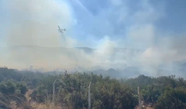 İzmir Torbalı'daki yangında son durum!