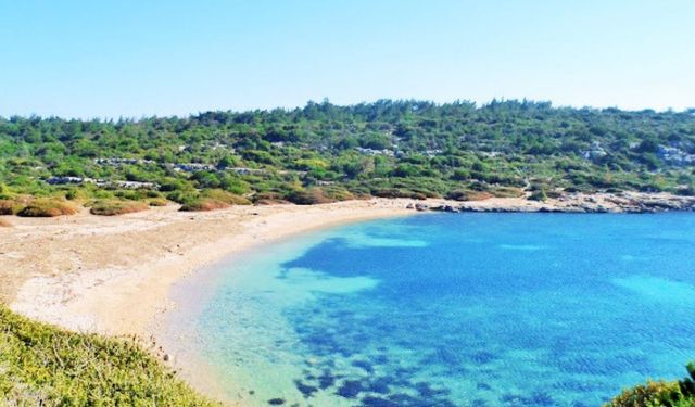 İzmir'de doğal güzelliğiyle keşfedilmeyi bekliyor! Şehirden ve kalabalıktan uzak bu plaj tatilcilerin yeni rotası