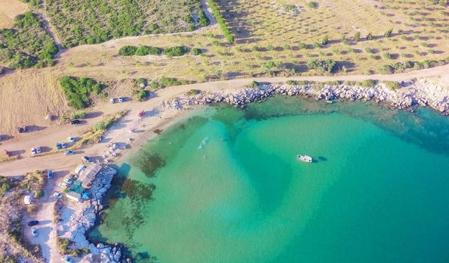 İzmir’e bir saat uzaklıkta! Balıklarla yüzme deneyimi yaşamak isteyenlerin yeni gözdesi: Cam gibi denizi büyülüyor