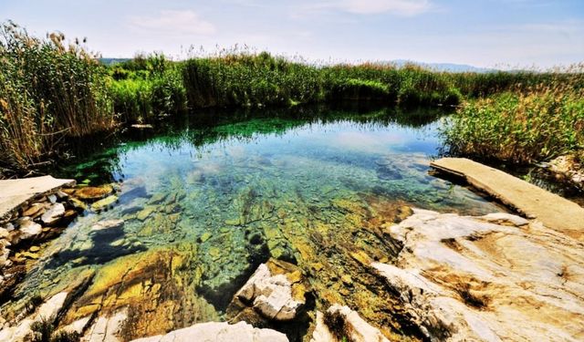 İzmir’e sadece 1 saat uzaklıkta: Tesis yok, gürültü yok sadece doğa var! Mangal kokusundan bıkanların yeni adresi