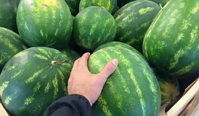 Karpuz seçerken sadece vurmak yetmiyor! En tatlı ve sulu karpuzu gösteren gizli işaret ortaya çıktı
