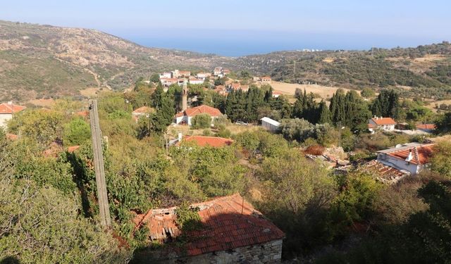 İzmir'in en eski köylerinden biri! Taş evleri, bakir koyları ve Akdeniz foklarıyla keşfedilmeyi bekliyor