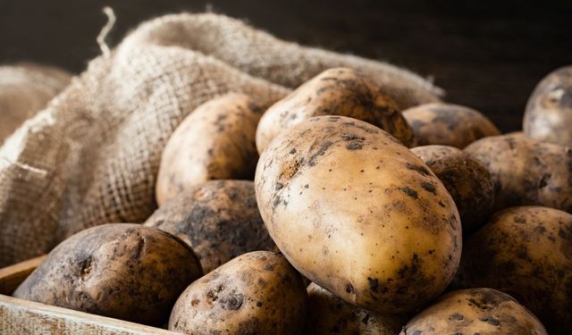Kimse bilmiyordu! Çöpe atanlar fırsatı kaçırıyor: Patates kabukları adeta çöp değil servet