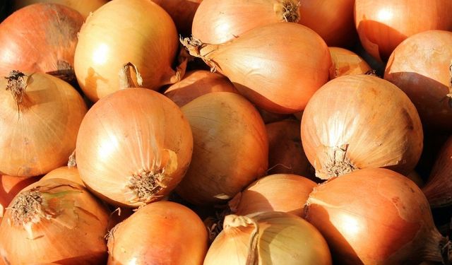Mutfaktaki gizli kokunun kaynağı! Soğanları bu şekilde saklamayın: İşte o kokunun çözümü