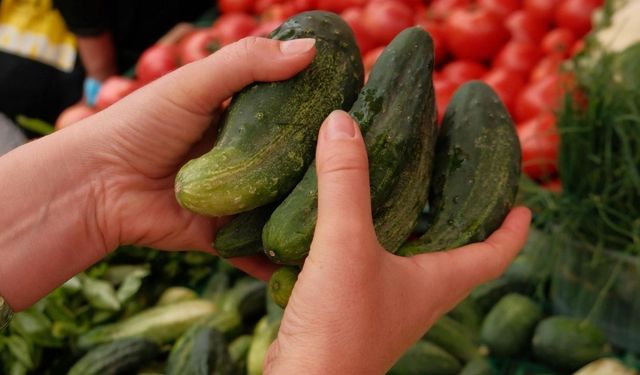 Pazarda veya markette fark etmez: Sırrı renginde değil boyutunda saklı! İşte taze kabak seçmenin en kolay yolu
