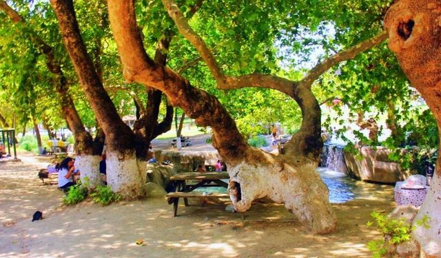 Piknik yeri aramaya son! İzmir'e sadece 50 dakika uzaklıkta: Hem park yeri var hem de serin suları