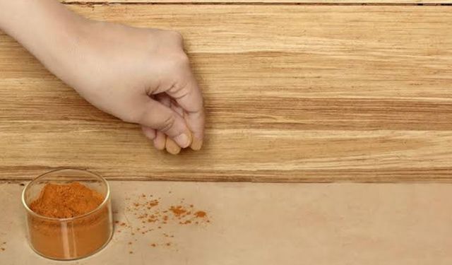 Yazın herkesin kapı eşiiğinde mutlaka görebilirsiniz! Kahve dökmek karıncalar için gerçekten işe yarıyor mu?