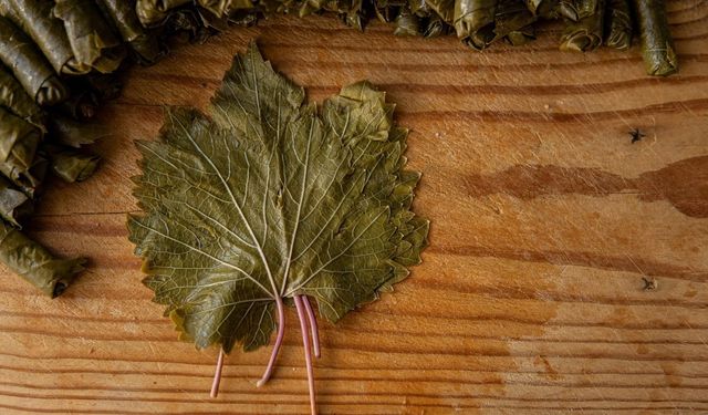 Yıllardır yanlış yaprakla sarma yapıyor olabilirsiniz! Almadan önce mutlaka buna bakın: Lezzeti ikiye katlayacak o detay