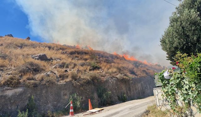 Bodrum'da makilik alan alevlere teslim oldu! Ekipler seferber edildi