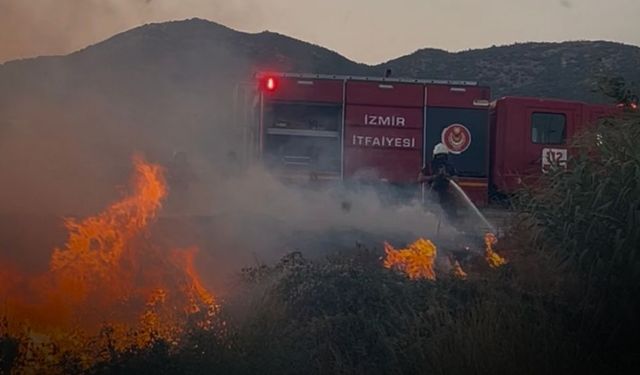 Bayındır çevre yolunda alevler yükseldi! Rüzgar yangını büyüttü